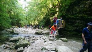 Tabor gasilske mladine (arhiv GZ Tolmin) (2)